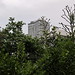 Ronald Ward Photo 10