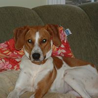 Michele Blair Photo 32