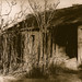 Anthony Mann Photo 12