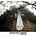 Paula Robison Photo 8