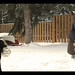 Alberta Chase Photo 10