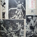 Thomas Tolbert Photo 13