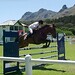 Ellen Gill Photo 8