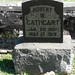 Robert Cathcart Photo 10