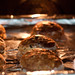 Gary Lemon Photo 10