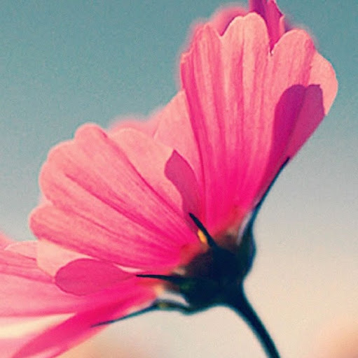 Aimee Herrera Photo 25