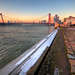 Willem Maas Photo 11