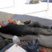 Paul Plumb Photo 11