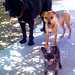 Stephanie Gabb Photo 6
