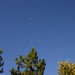 Todd Whittier Photo 9