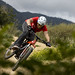 Roger Spain Photo 7