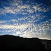 Nanette Flores Photo 8
