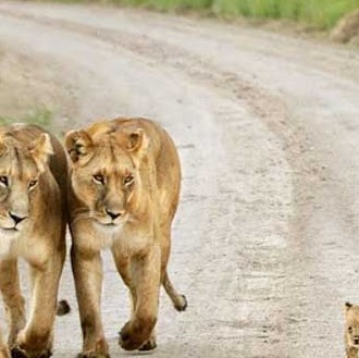Sanjeev Antil Photo 4