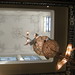 William Swarts Photo 12