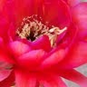 Holly Scherer Photo 18