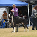 Brian Birt Photo 7