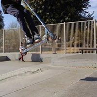 Alex Julian Photo 14