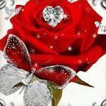 Rosa Peraza Photo 7