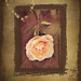 Jenny Rose Photo 15