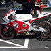 Peter Lenz Photo 10