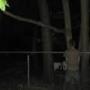 Ryan Dodds Photo 22