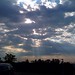 Ray Devine Photo 11