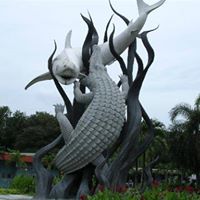 Albert Wey Photo 4