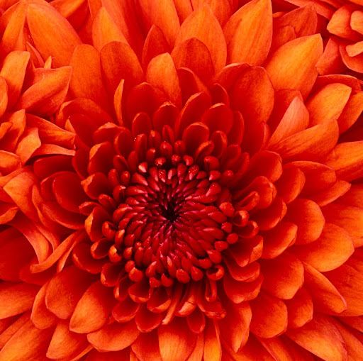 Jayashree Krishnamurthy Photo 9