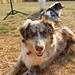 Merle Foster Photo 6