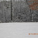 Stacie Smith Photo 7