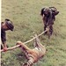 Viet To Photo 7