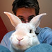 Mike Harvey Photo 8