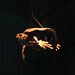 Megan Skelton Photo 10