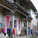 Bei Zhang Photo 14