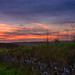 Dawn Walls Photo 10