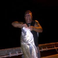 Scott Weatherby Photo 15