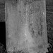 Lyman Stone Photo 6
