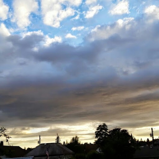 Tracy Brown Photo 34