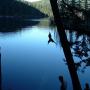Lloyd Peters Photo 33