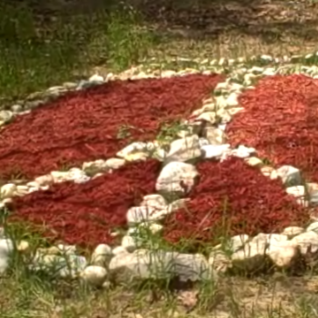 Jane Mcdaniel Photo 27