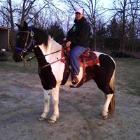 Tammy Ketchum Photo 13