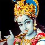 Amit Indoria Photo 3