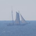 Glenn Edwards Photo 14