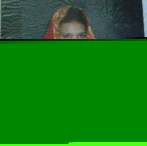 Lubna Ahmed Photo 38