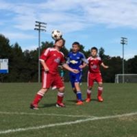 Kim Lembeck Photo 2