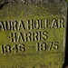 Laura Hollar Photo 4
