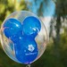 Mickey Blue Photo 5