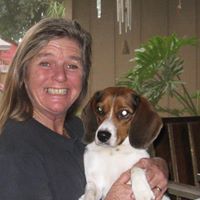 Pam Blades Photo 13