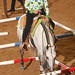 Lynn Agee Photo 8