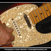 John Seegers Photo 8